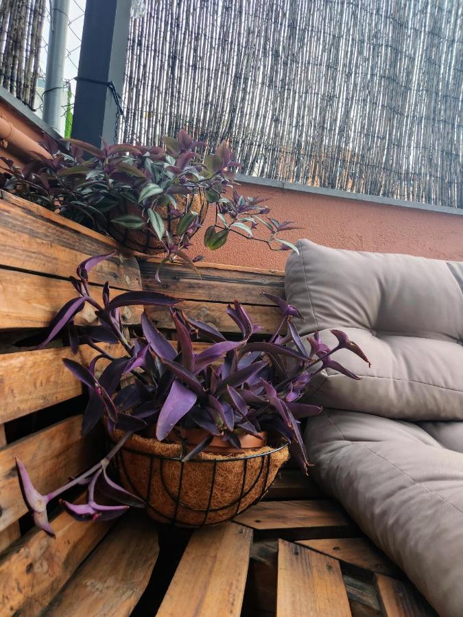 فندق Estudio Con Terraza بادالونا المظهر الخارجي الصورة